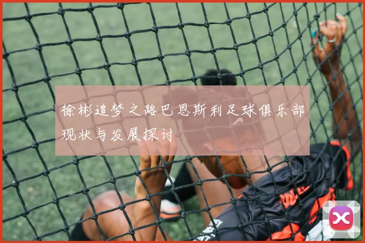 徐彬追梦之路巴恩斯利足球俱乐部现状与发展探讨